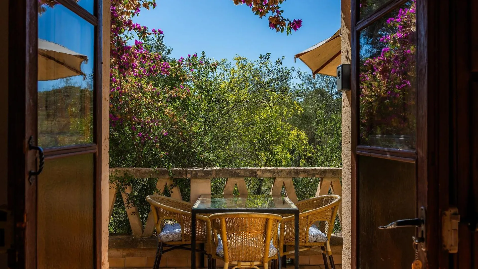 Ses Solls Apartment Petra  Petra (Mallorca)